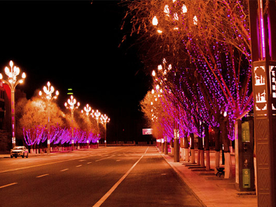 景觀樹亮化-應(yīng)滿足燈光亮化標準