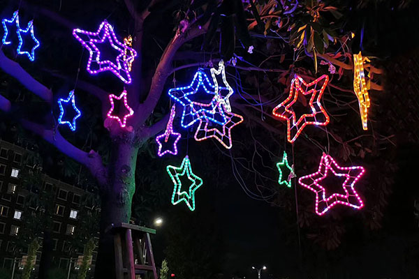 樹(shù)木夜景亮化-凸顯燈光造型藝術(shù)