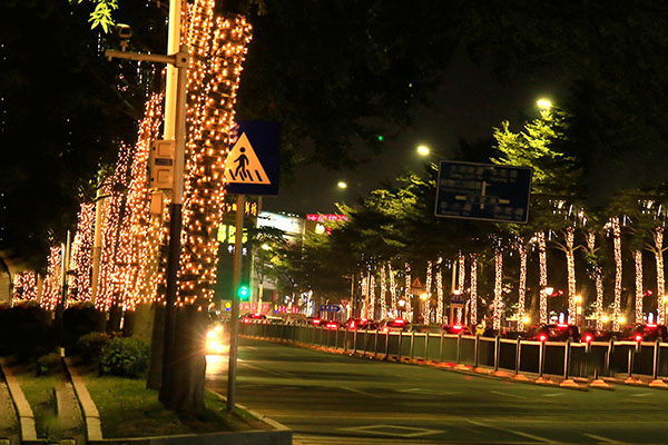 樹木亮化設計-領略不一樣的夜游體驗