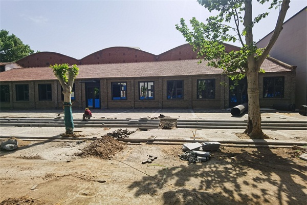 鄭煤機(jī)集團(tuán)1985芝麻街樹木亮化工程施工前